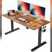 Home Office Standing Desk