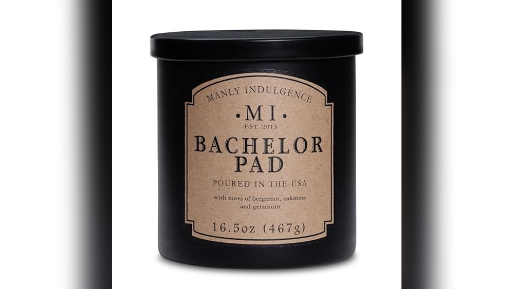 Bachelor Bedroom Decor Ideas