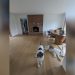 How to Decorate a Walk Through Dining Room
