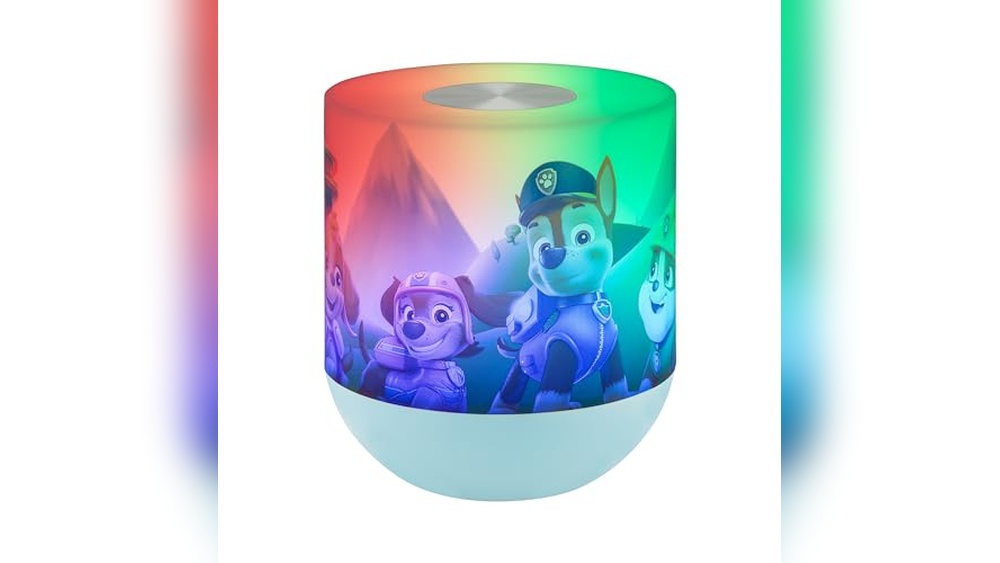 Paw Patrol Decor for Bedroom