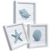 Bathroom Decor Coastal