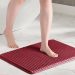Bathroom Red Rugs