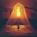 Bed Canopy With Lights