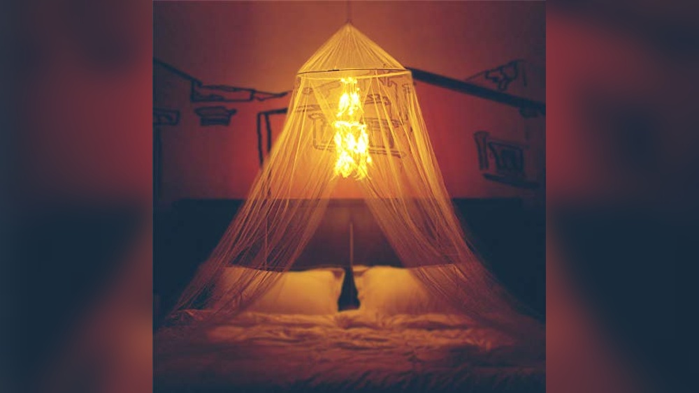 Bed Canopy With Lights
