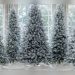 Best Artificial Christmas Trees Vancouver
