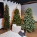 Best Artificial Lighted Christmas Tree