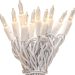 Best Clear Indoor Outdoor Mini Christmas Lights