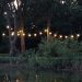 Best Garden String Lights