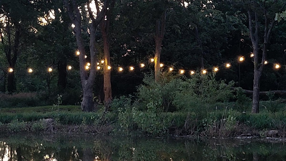 Best Garden String Lights