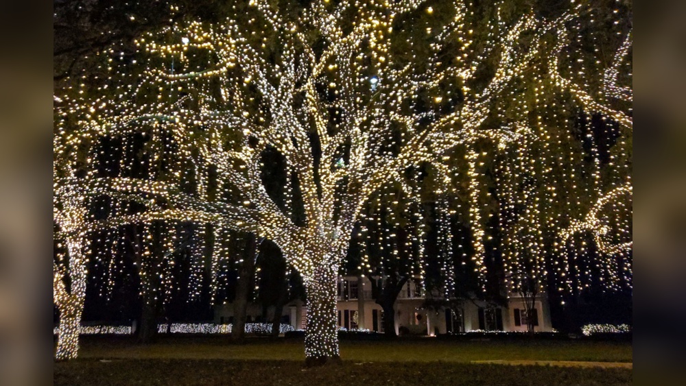 Best Holiday String Lights