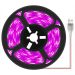 Best Led Grow Strip Lights Wholesale