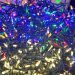 Best Mini Led Christmas Tree Lights
