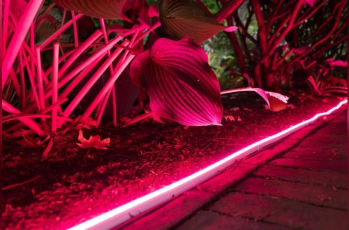 Best Outdoor Smart String Lights
