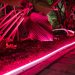 Best Outdoor Smart String Lights