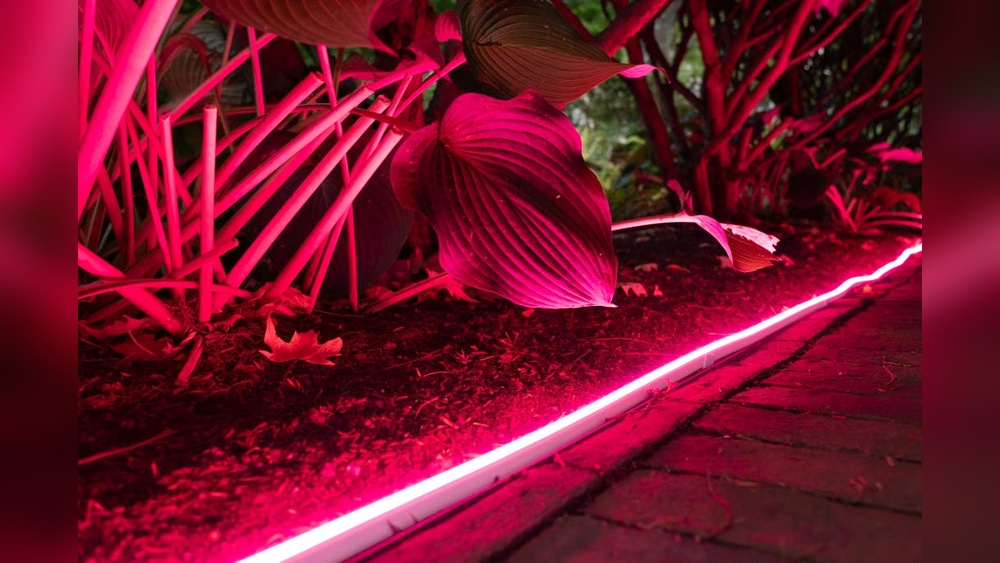 Best Outdoor Smart String Lights