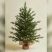 Best Small Artificial Christmas Tree With Lights