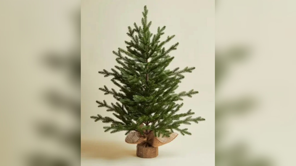 Best Small Artificial Christmas Tree With Lights