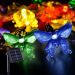 Best Solar Powered String Lights Outdoor