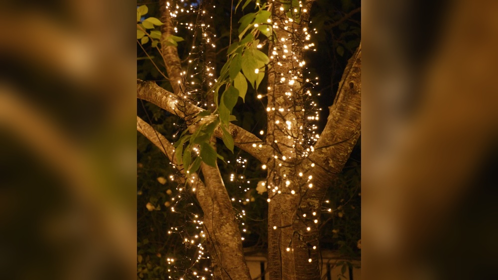 Best String Lights for Christmas Tree