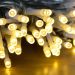 Best String Lights for Indoors