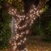 Best String Lights for Trees