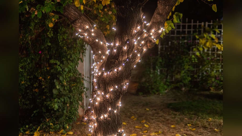 Best String Lights for Trees