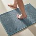 Blue Bathroom Rugs