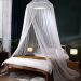 Canopy Twin Bed