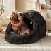 Dog Bed And Canopy