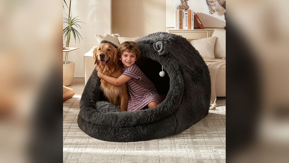 Dog Bed And Canopy