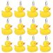 Duck Bathroom Decor