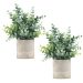 Eucalyptus Bathroom Decor