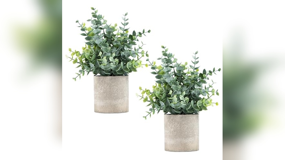 Eucalyptus Bathroom Decor