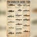 Fishing Decor for Bedroom