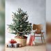 How Long to Keep Artificial Christmas Tree