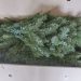 How to Clean Mold from an Artificial Christmas Tree