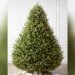 How to Decontaminate Artificial Christmas Tree of Bigs