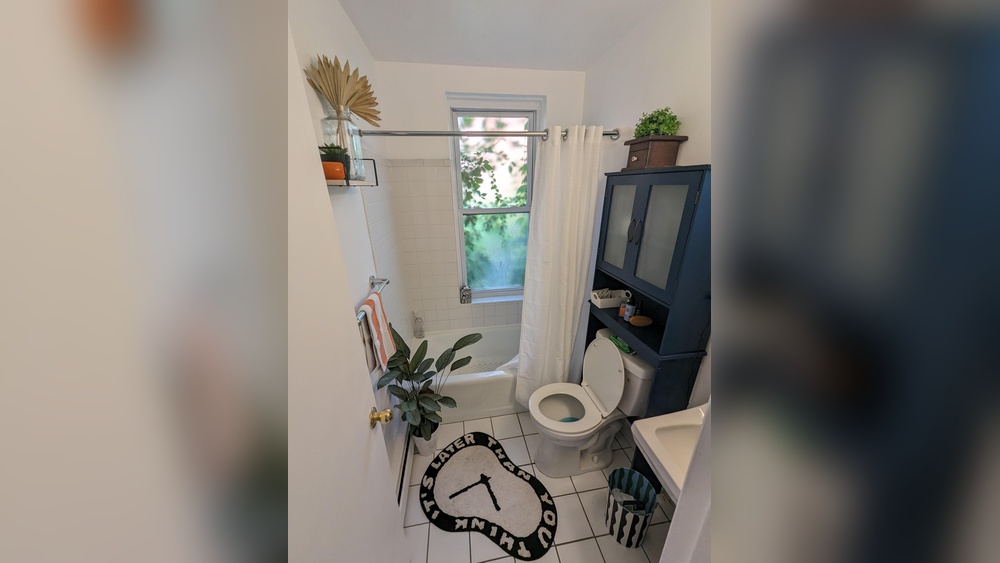 How to Decorate a Mens Bathroom Apartment