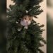 How to Keep Cats Out of Artificial Christmas Trees