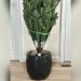 How to Put Artificial Christmas Tree in a Pot