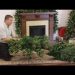 How to Put Artificial Christmas Tree Together