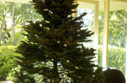 How to Put Up a Colored Coded Artificial Christmas Tree