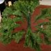 How to Shape Branches on Artificial Christmas Tree