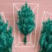 How to Store a Artificial Christmas Tree