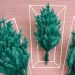 How to Store Artificial Christmas Trees