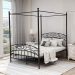 Metal Canopy Bed