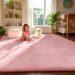 Pink Rug Bedroom Decor