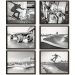 Skateboard Decorations for Bedrooms