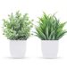 Small Bathroom Plants Decor