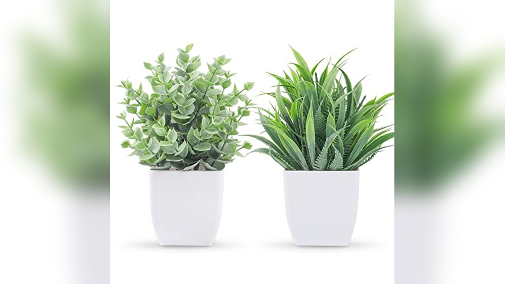 Small Bathroom Plants Decor